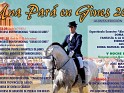 Una Pará en Gines. Uploaded by Winny